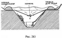 Школа выживания в природных условиях Школа выживания в природных условиях