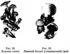 Школа выживания в природных условиях Школа выживания в природных условиях
