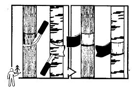 Школа выживания. Как избежать голодной смерти Школа выживания. Как избежать голодной смерти