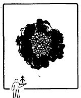 Школа выживания. Как избежать голодной смерти Школа выживания. Как избежать голодной смерти