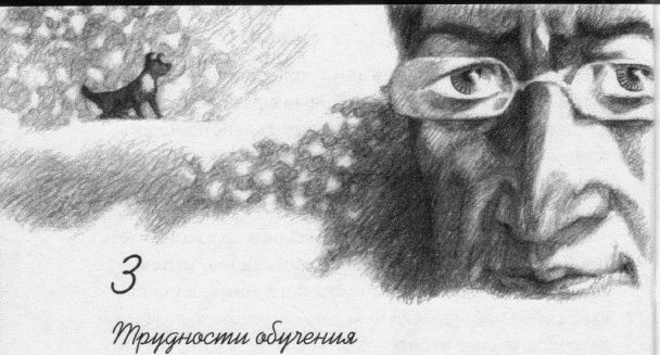 Пес по имени Бу Пес по имени Бу