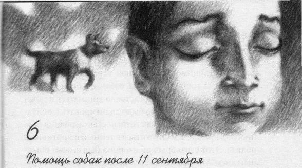 Пес по имени Бу Пес по имени Бу