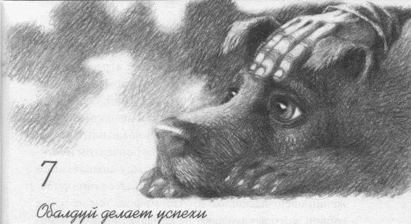 Пес по имени Бу Пес по имени Бу