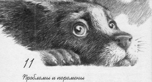 Пес по имени Бу Пес по имени Бу
