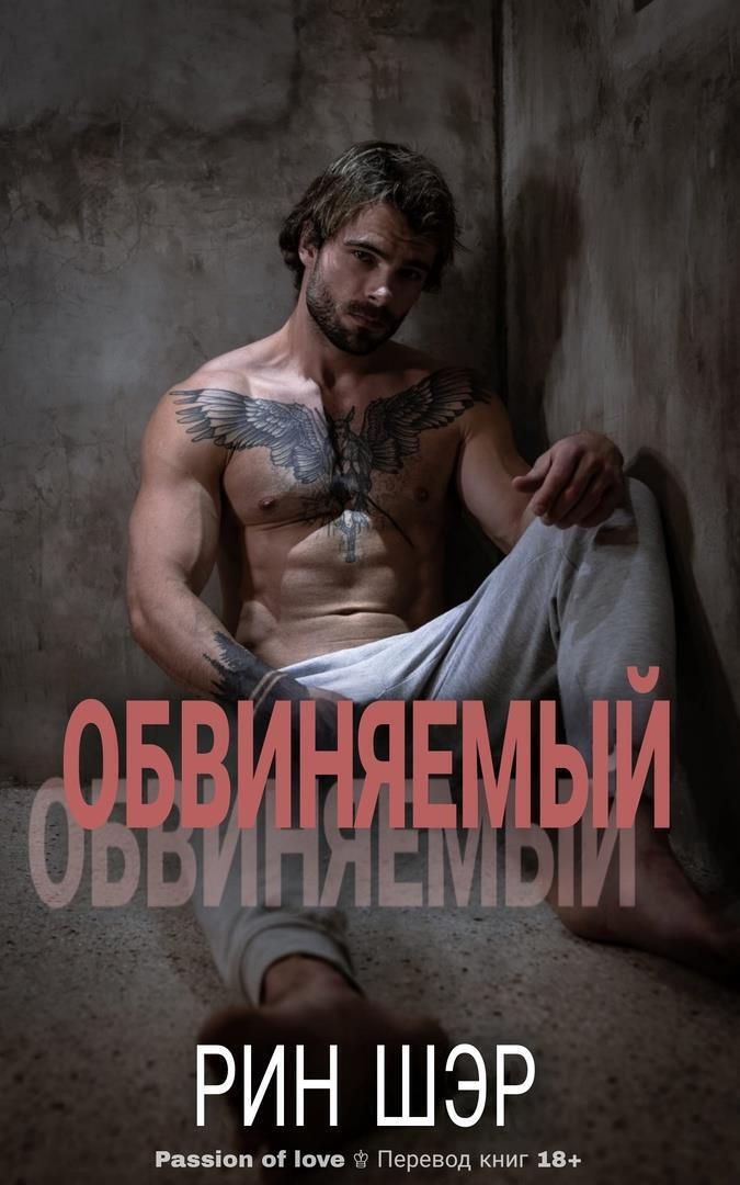 Обвиняемый - Рин Шер - Читать книги онлайн | Слушать аудиокниги онлайн | Электронная библиотека books-lib.com