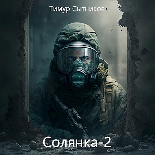 Солянка 2 - Тимур Сытников - Читать книги онлайн | Слушать аудиокниги онлайн | Электронная библиотека books-lib.com