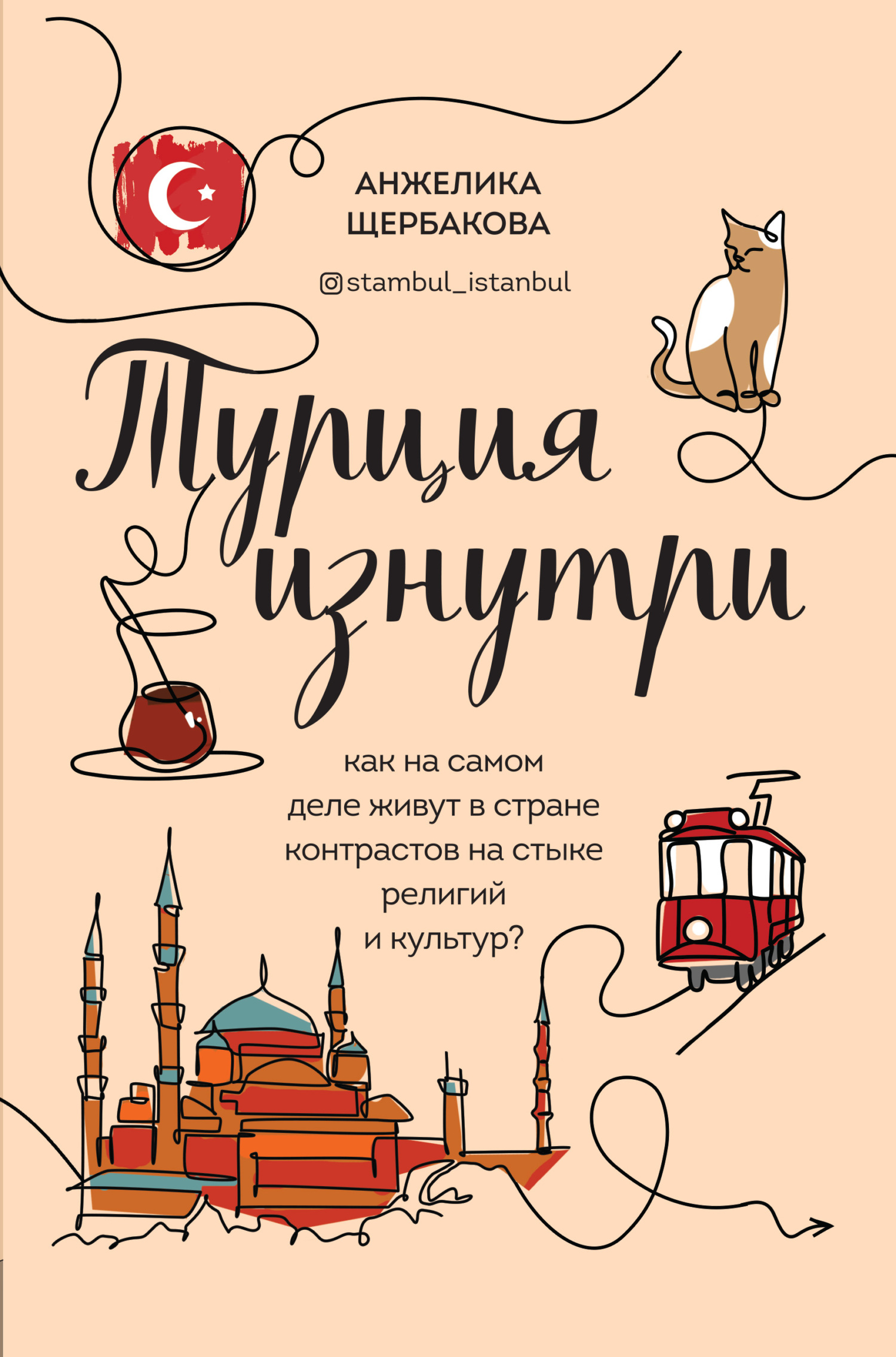 Турция изнутри. Как на самом деле живут в стране контрастов на стыке религий и культур? - Анжелика Николаевна Щербакова - Читать книги онлайн | Слушать аудиокниги онлайн | Электронная библиотека books-lib.com