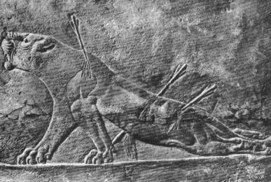 Другая история литературы. От самого начала до наших дней Другая история литературы. От самого начала до наших дней