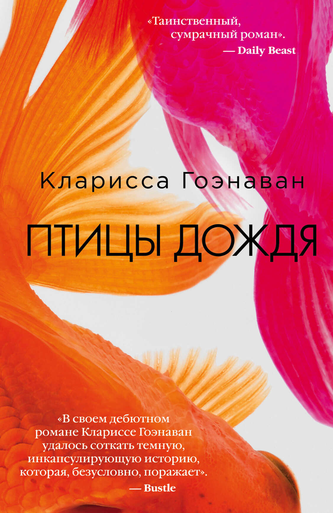 Птицы дождя - Кларисса Гоэнаван - Читать книги онлайн | Слушать аудиокниги онлайн | Электронная библиотека books-lib.com