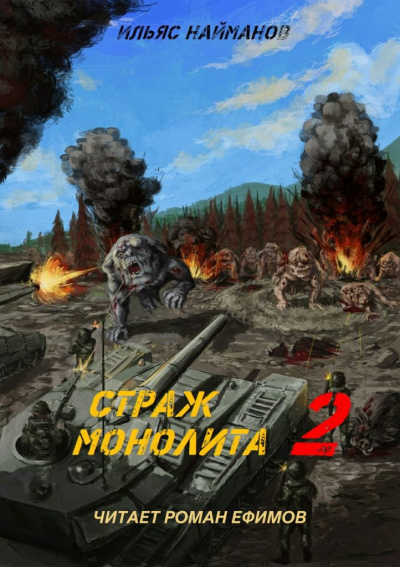 Найманов Ильяс - S.T.A.L.K.E.R. Страж Монолита 2 - Читать книги онлайн | Слушать аудиокниги онлайн | Электронная библиотека books-lib.com