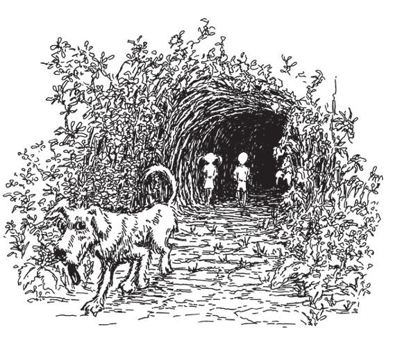 Разделить на сто Разделить на сто