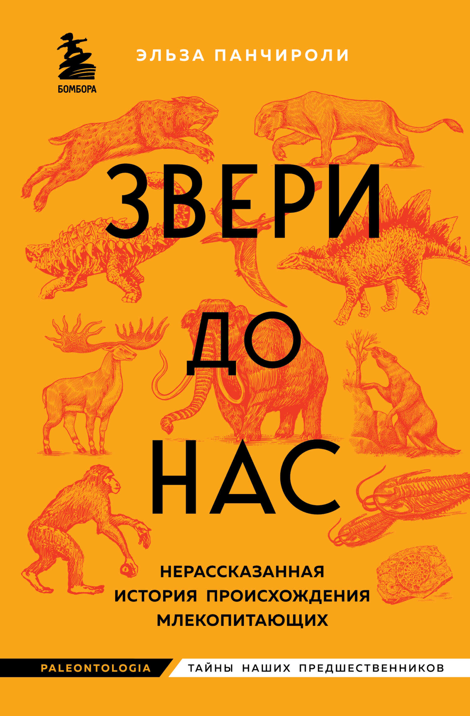 Звери до нас. Нерассказанная история происхождения млекопитающих - Эльза Панчироли - Читать книги онлайн | Слушать аудиокниги онлайн | Электронная библиотека books-lib.com
