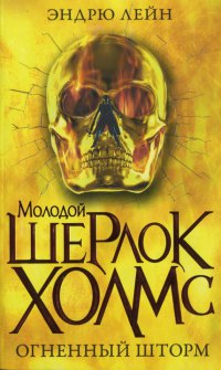 Огненный шторм - Эндрю Лейн - Читать книги онлайн | Слушать аудиокниги онлайн | Электронная библиотека books-lib.com