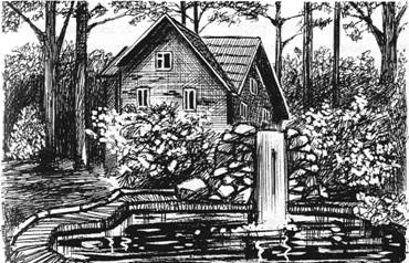 Дело о черном вороне Дело о черном вороне