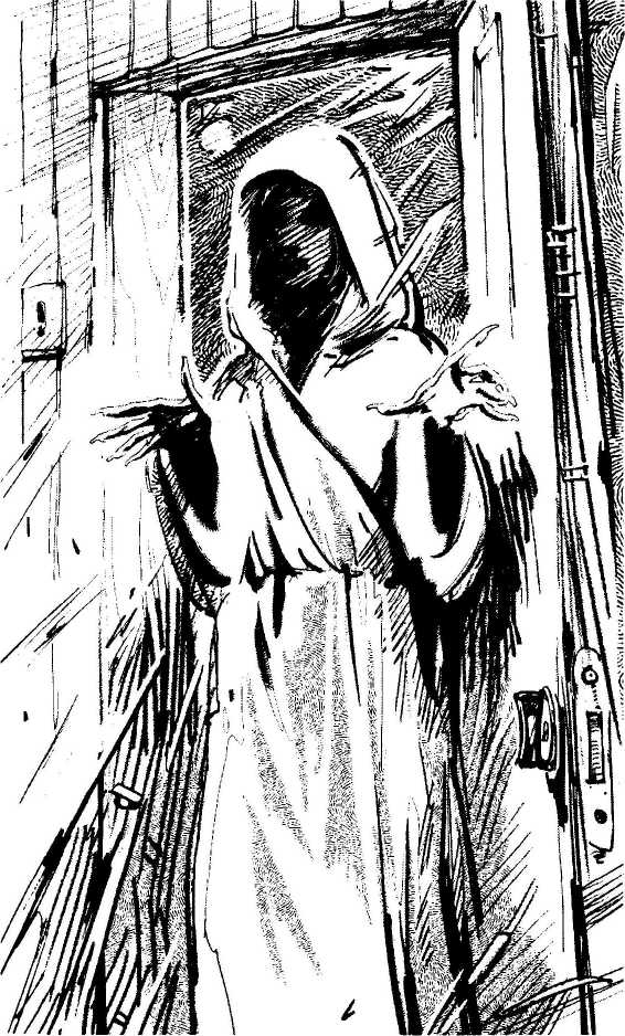 Дело о небесном паруснике Дело о небесном паруснике