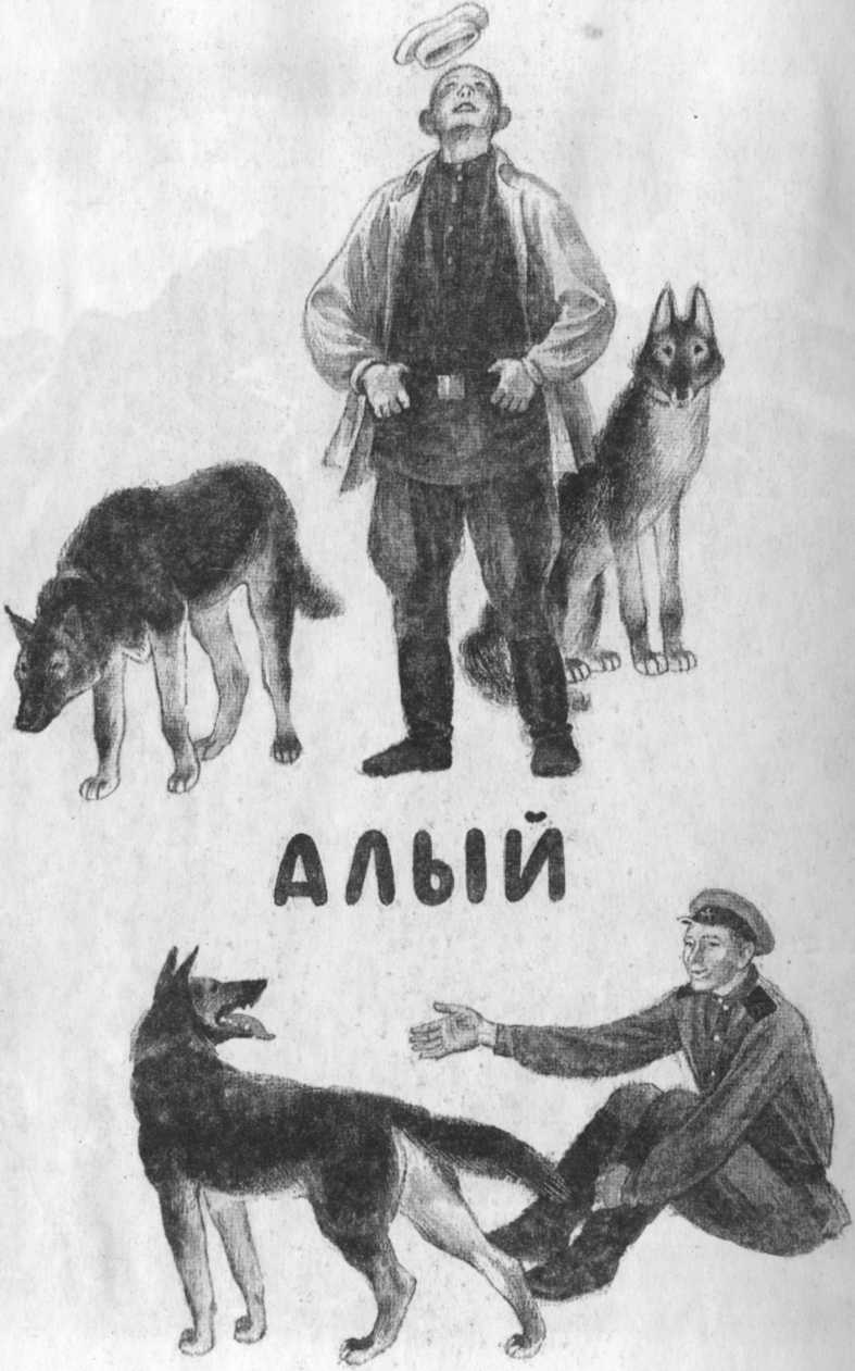 Кепка с карасями Кепка с карасями