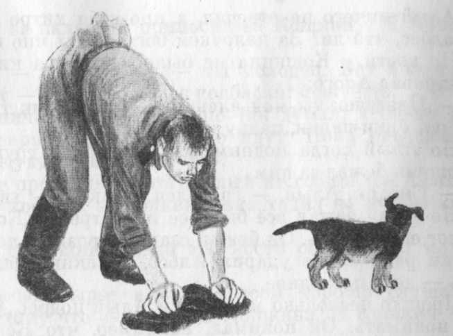 Кепка с карасями Кепка с карасями