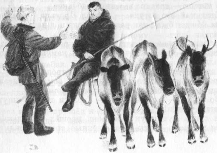 Кепка с карасями Кепка с карасями