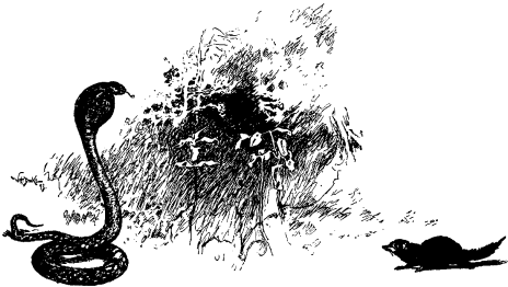 Не для взрослых. Время читать! Не для взрослых. Время читать!