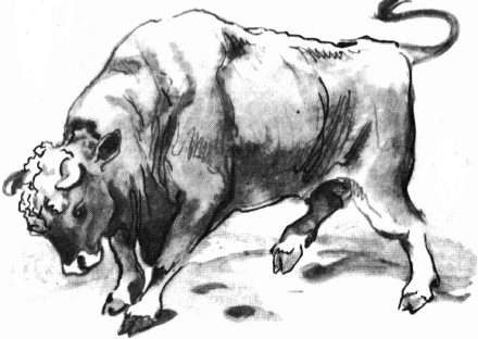 Не для взрослых. Время читать! Не для взрослых. Время читать!