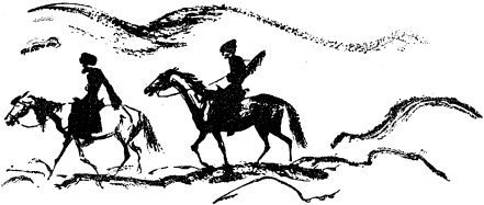 Не для взрослых. Время читать! Не для взрослых. Время читать!