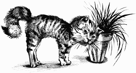 Дела и ужасы Жени Осинкиной Дела и ужасы Жени Осинкиной