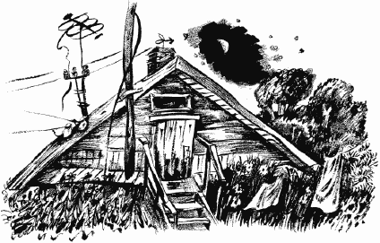 Дела и ужасы Жени Осинкиной Дела и ужасы Жени Осинкиной