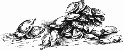 Дела и ужасы Жени Осинкиной Дела и ужасы Жени Осинкиной