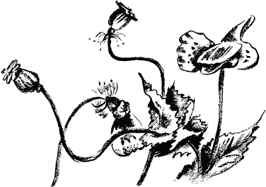 Дела и ужасы Жени Осинкиной Дела и ужасы Жени Осинкиной