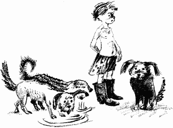 Дела и ужасы Жени Осинкиной Дела и ужасы Жени Осинкиной