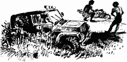 Дела и ужасы Жени Осинкиной Дела и ужасы Жени Осинкиной