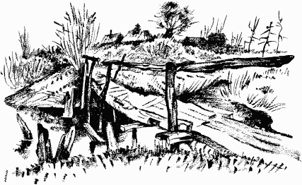 Дела и ужасы Жени Осинкиной Дела и ужасы Жени Осинкиной