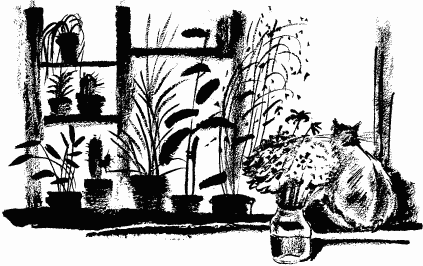 Дела и ужасы Жени Осинкиной Дела и ужасы Жени Осинкиной