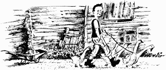 Дела и ужасы Жени Осинкиной Дела и ужасы Жени Осинкиной