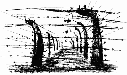 Дела и ужасы Жени Осинкиной Дела и ужасы Жени Осинкиной