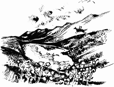 Дела и ужасы Жени Осинкиной Дела и ужасы Жени Осинкиной