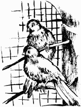 Дела и ужасы Жени Осинкиной Дела и ужасы Жени Осинкиной