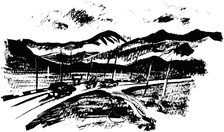 Дела и ужасы Жени Осинкиной Дела и ужасы Жени Осинкиной