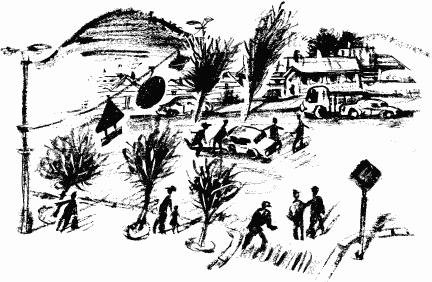 Дела и ужасы Жени Осинкиной Дела и ужасы Жени Осинкиной