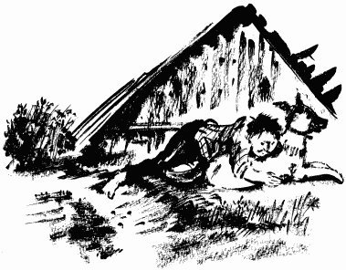 Дела и ужасы Жени Осинкиной Дела и ужасы Жени Осинкиной