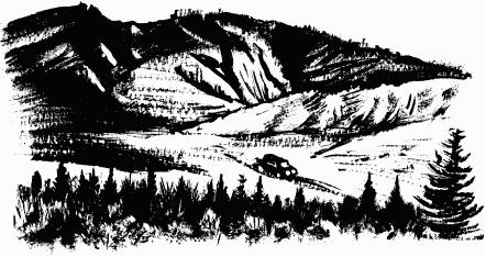 Дела и ужасы Жени Осинкиной Дела и ужасы Жени Осинкиной