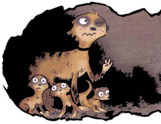 Сурикаты-сумасброды. Невероятно смешные приключения в пустыне Сурикаты-сумасброды. Невероятно смешные приключения в пустыне