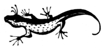 Ямы Ямы