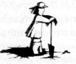 Ямы Ямы