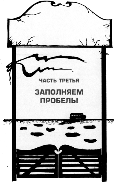 Ямы Ямы