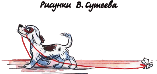 Котёнок по имени Гав Котёнок по имени Гав