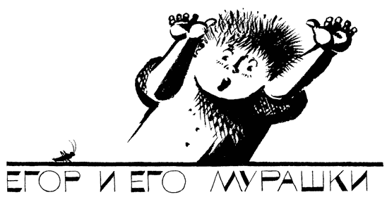 Легенды и мифы Лаврового переулка Легенды и мифы Лаврового переулка