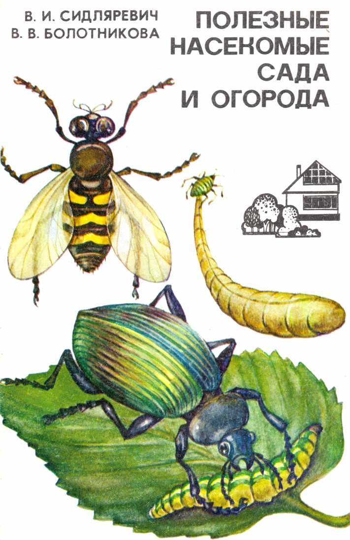 Полезные насекомые сада и огорода - Викентий Иванович Сидляревич - Читать книги онлайн | Слушать аудиокниги онлайн | Электронная библиотека books-lib.com