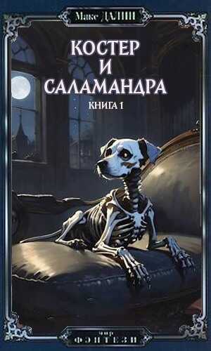 Костер и Саламандра. Книга первая - Максим Андреевич Далин - Читать книги онлайн | Слушать аудиокниги онлайн | Электронная библиотека books-lib.com