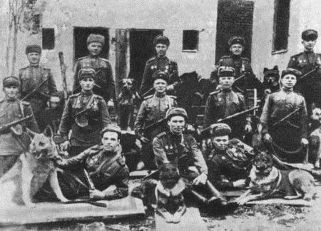 Солдат по кличке Рекс Солдат по кличке Рекс